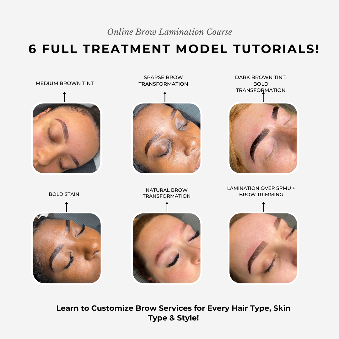 Brow Lamination, Tinting & Waxing Online Course-(50%OFF)