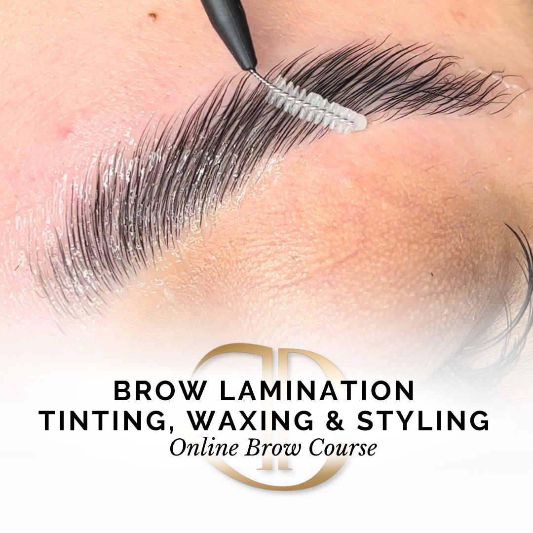 Brow Lamination, Tinting & Waxing Online Course-(50%OFF)