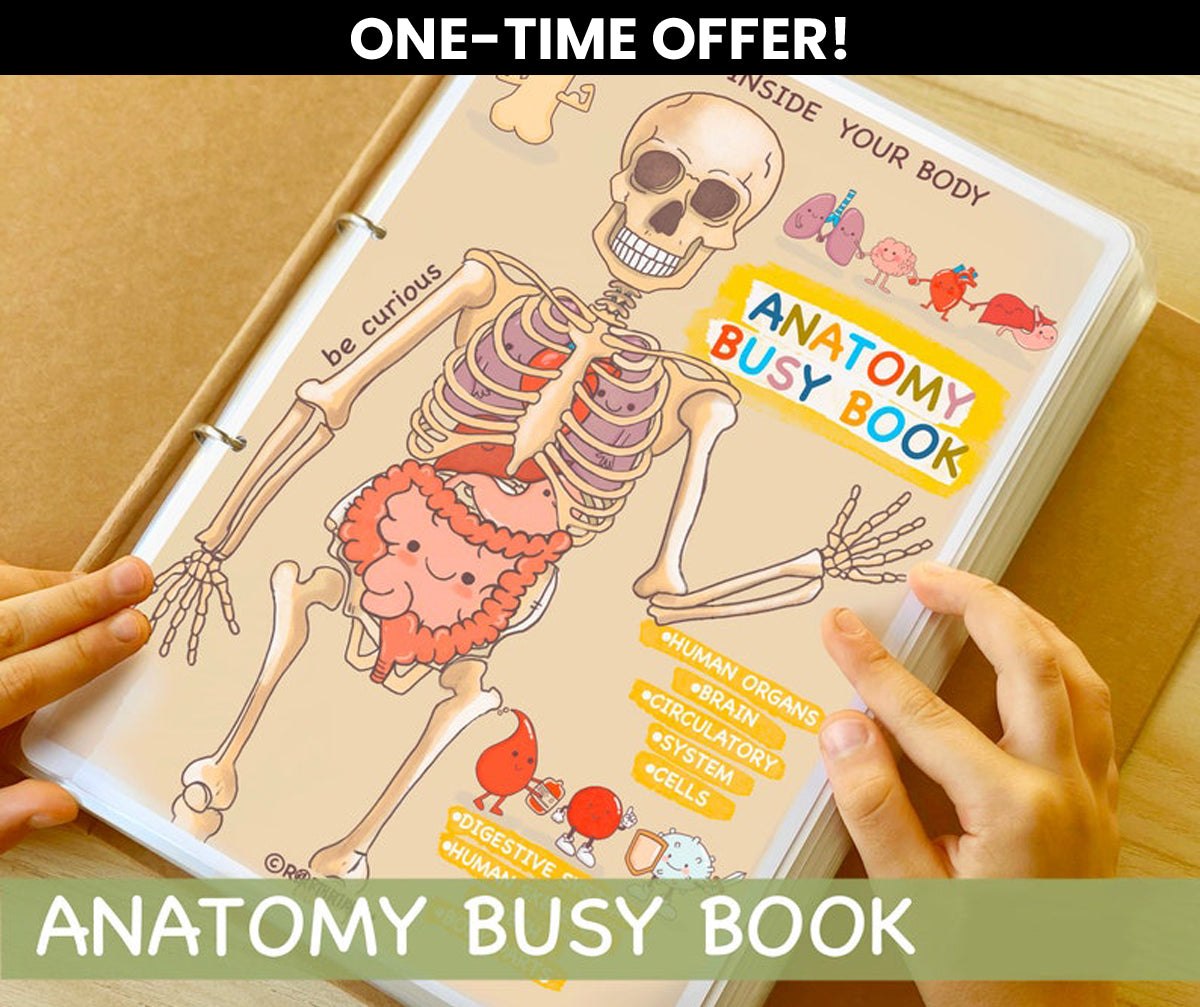 Human Anatomy Busy Book - ONE TIME OFFER!
