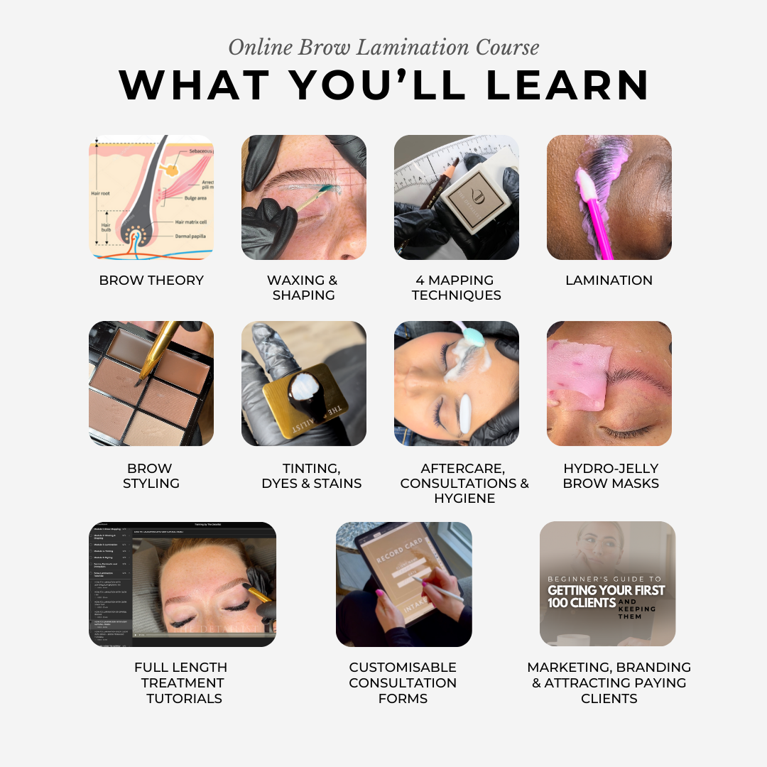 Brow Lamination, Tinting & Waxing Online Course-(50%OFF)