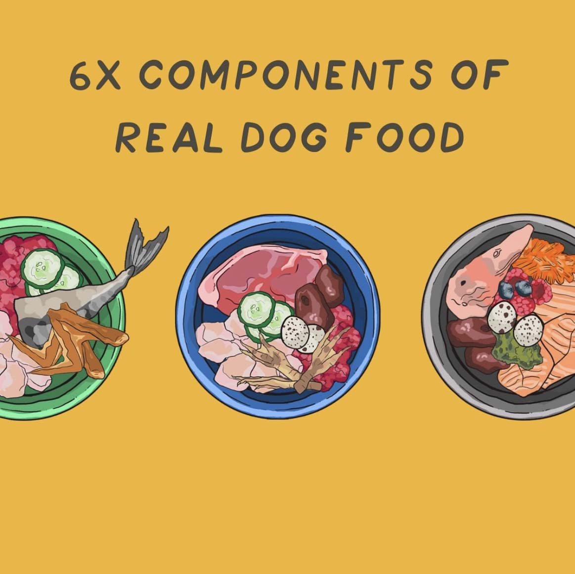 Gourmet Canine Kitchen–(50% OFF)