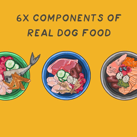 Gourmet Canine Kitchen–(50% OFF)