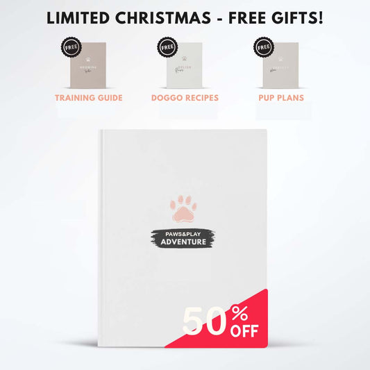 Paws & Play Adventures-(50%OFF)