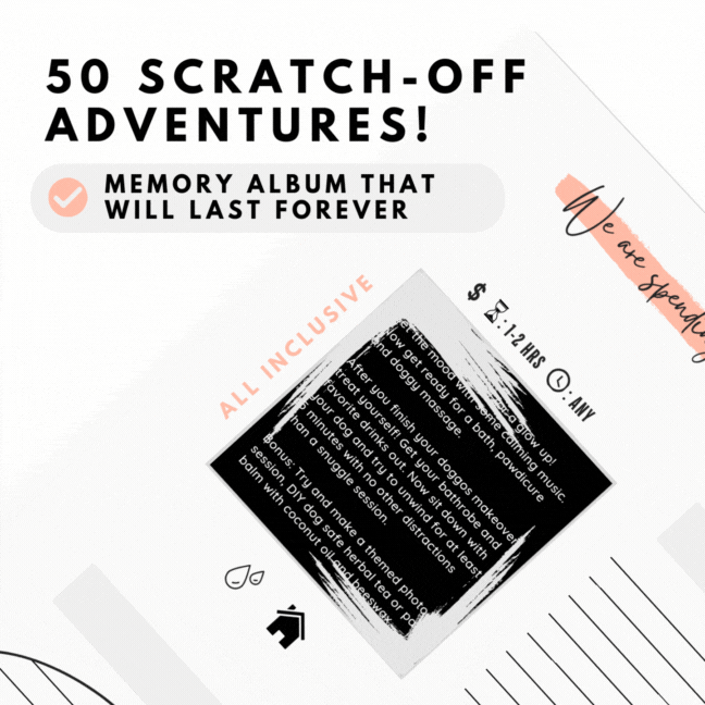 Paws & Play Adventures-(50%OFF)