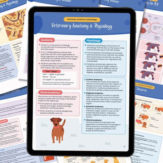 VetMaster Notes - 10,000+ Comprehensive Veterinary Student Resources