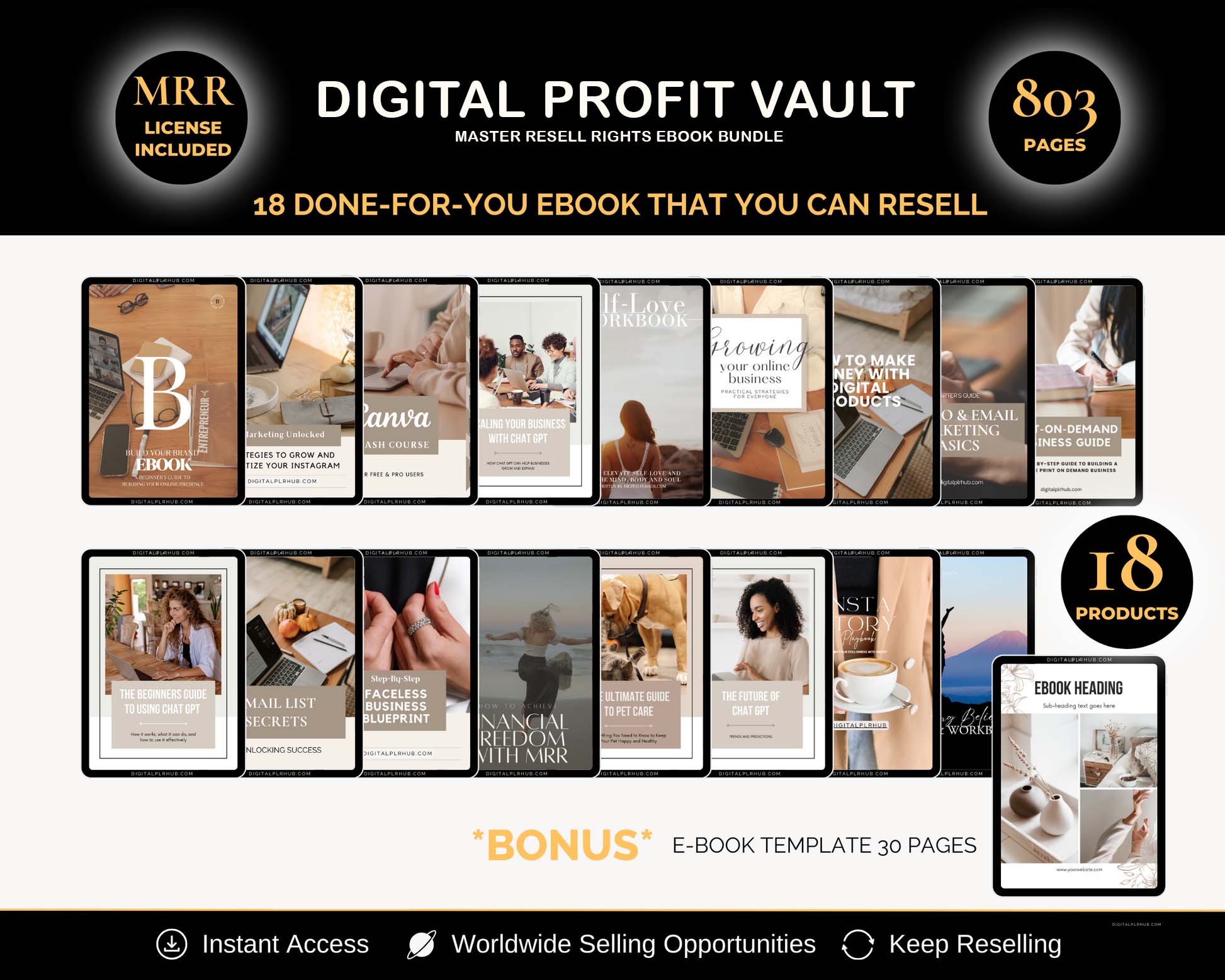 Digital Profit Vault - Master Resell Rights Ebook Bundle-(50% OFF)