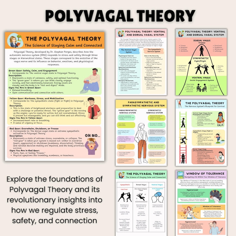 Nervous System Regulation for Kids-(50%OFF)