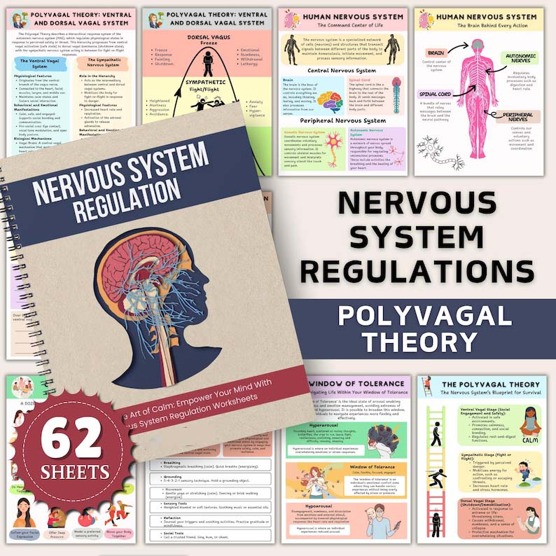 Nervous System Regulation for Kids-(50%OFF)