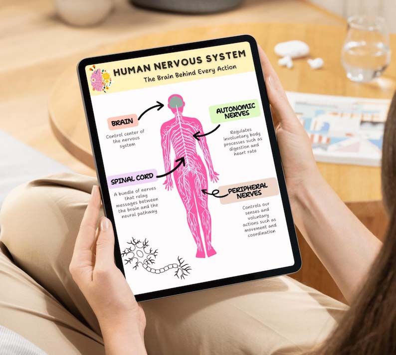 Nervous System Regulation for Kids-(50%OFF)