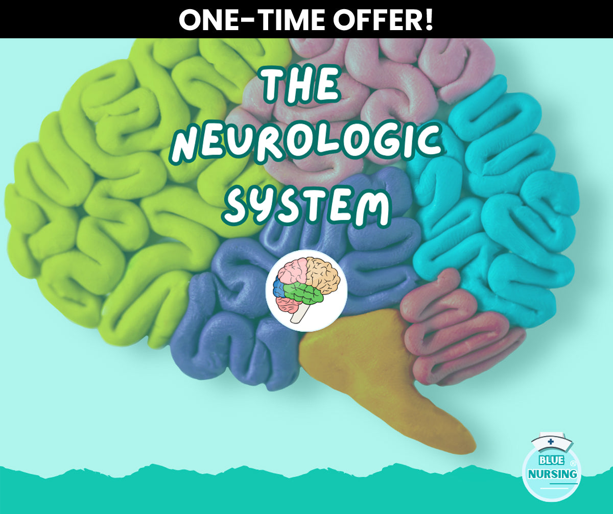 Neurological System Study Guide (90% OFF)