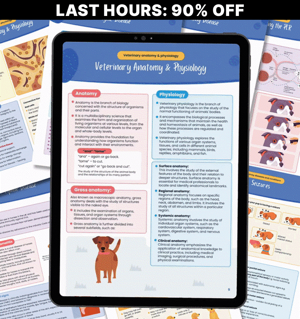 VetMaster Notes - 10,000+ Comprehensive Veterinary Student Resources