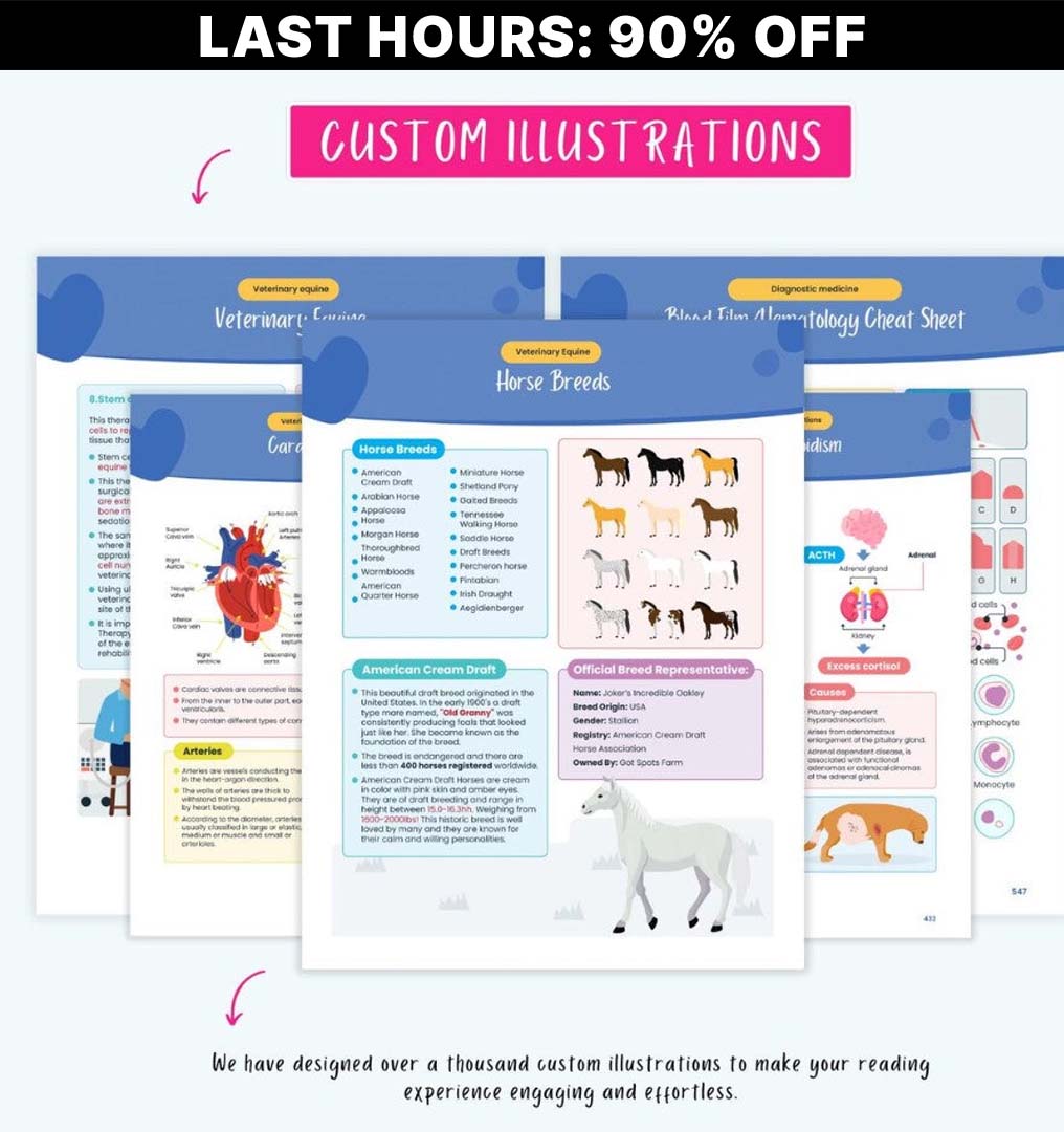 VetMaster Notes - 10,000+ Comprehensive Veterinary Student Resources
