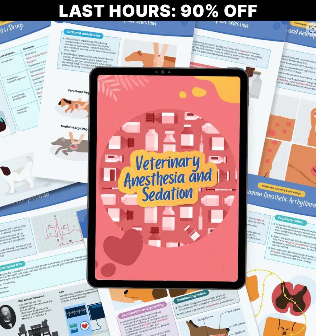 VetMaster Notes - 10,000+ Comprehensive Veterinary Student Resources
